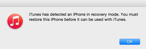 put iphone in recovery mode
