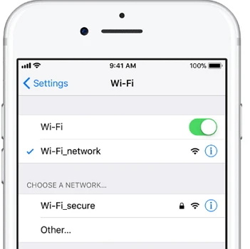 check iphone network connection