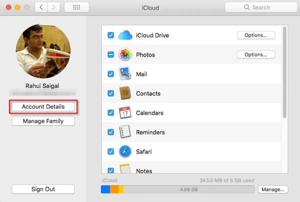 Open Account Details in iCloud