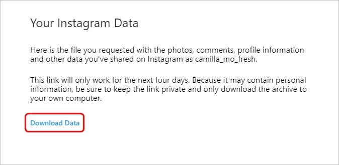 download instagram data