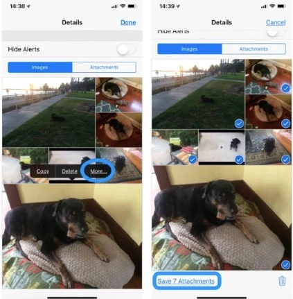 save all photos from message on iphone 