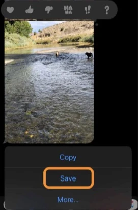 save a photo from messages on iphone