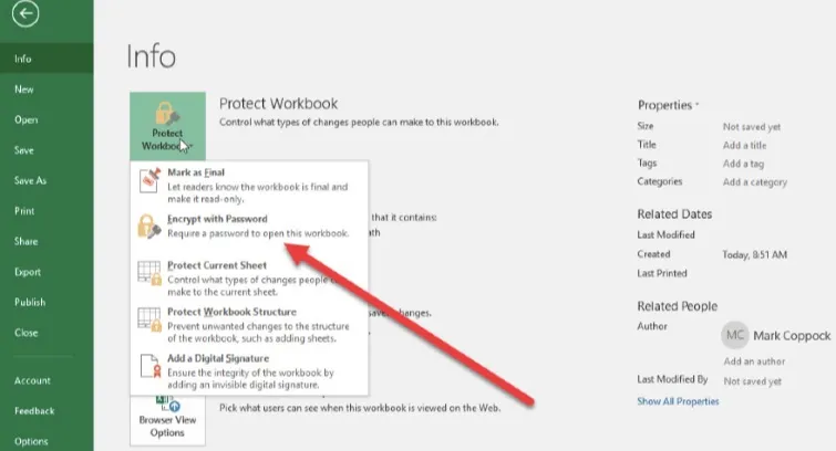 protect workbook