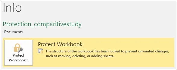 protect workbook