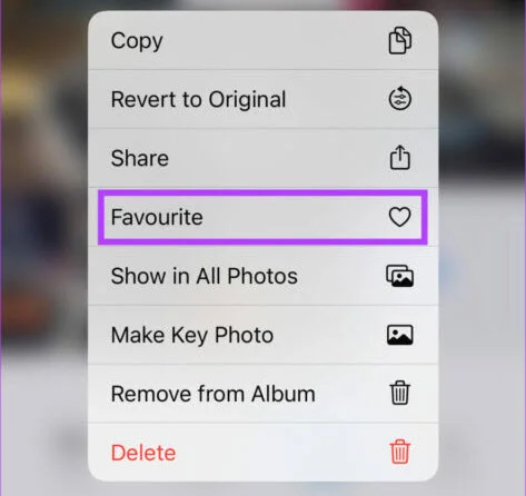 add video to favorite on iphone
