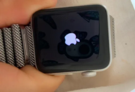 apple watch stuck on apple logo