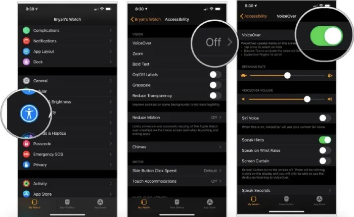 apple watch voiceover