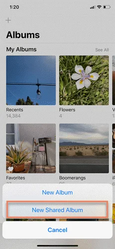 create shared album iphone