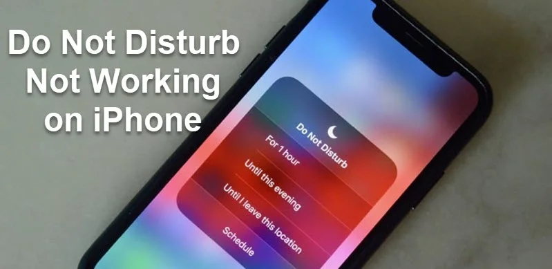 do not disturb not working