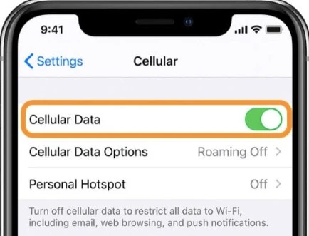 check iphone cellular data