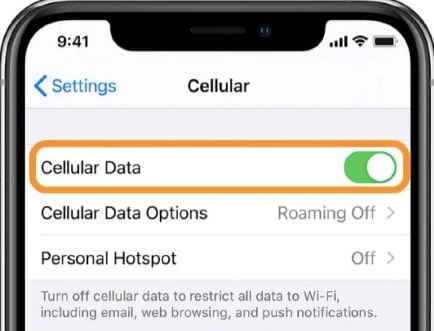 cellular data on iphone