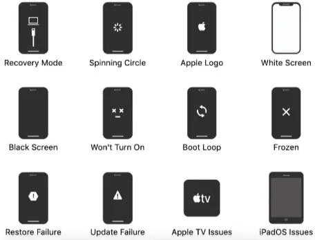 fixgo issues