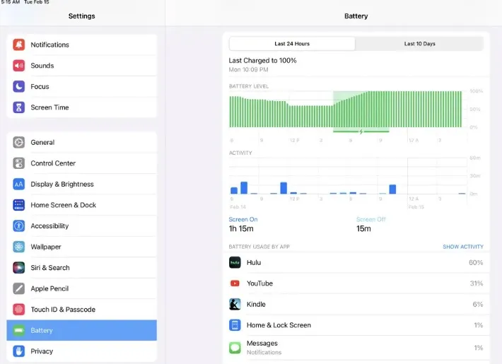 ipad battery health