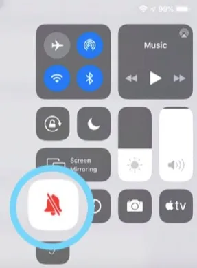 ipad unmute sounds