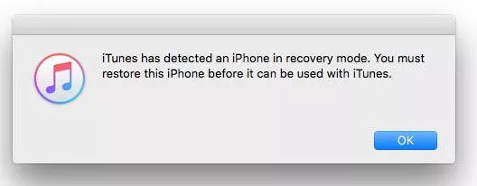iphone recovery mode detected