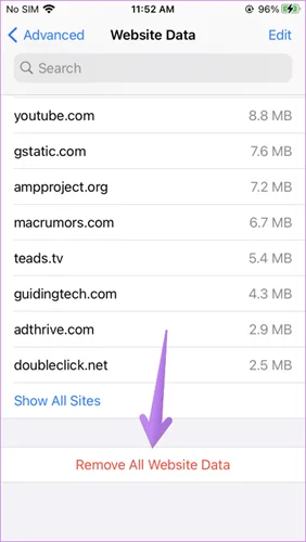 remove all website data safari