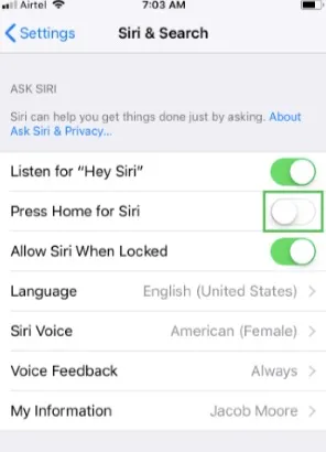 siri search