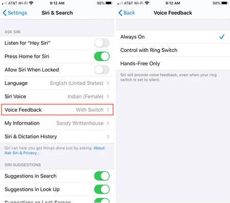 siri voice feedback iphone