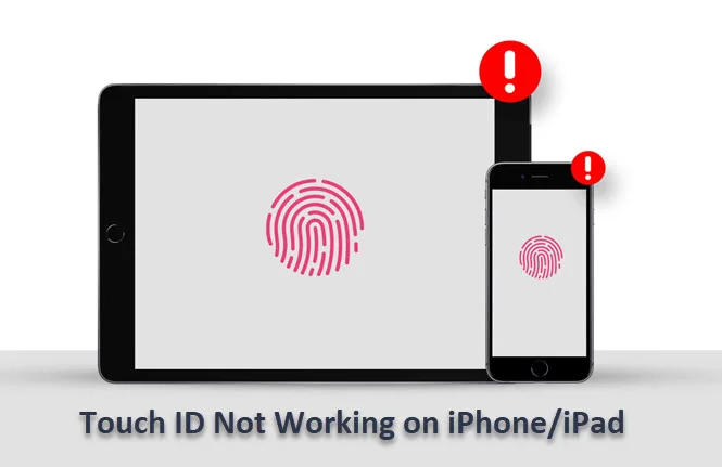touch id not working on iphone ipad