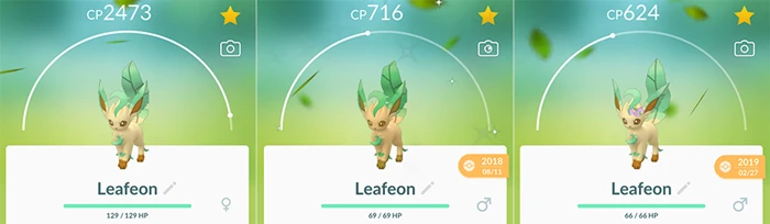 Pokemon Go Shiny Eevee Evolutions Full Guide In 21