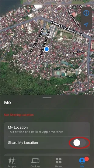 live location on find my