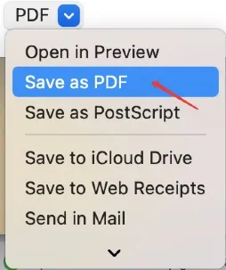 save as pdf