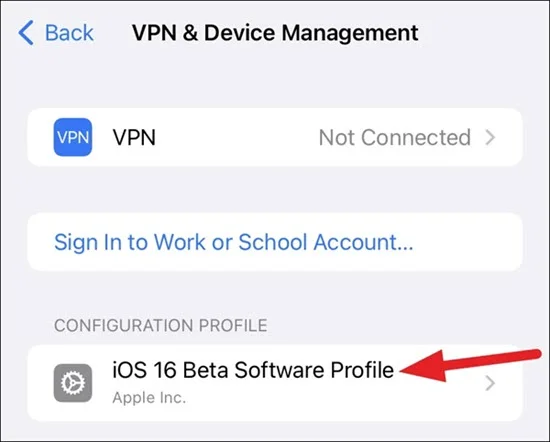 ios 16 beta software profile