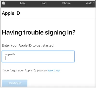 enter apple id forgot password