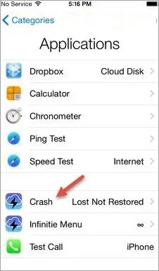 icloud dns bypass crash