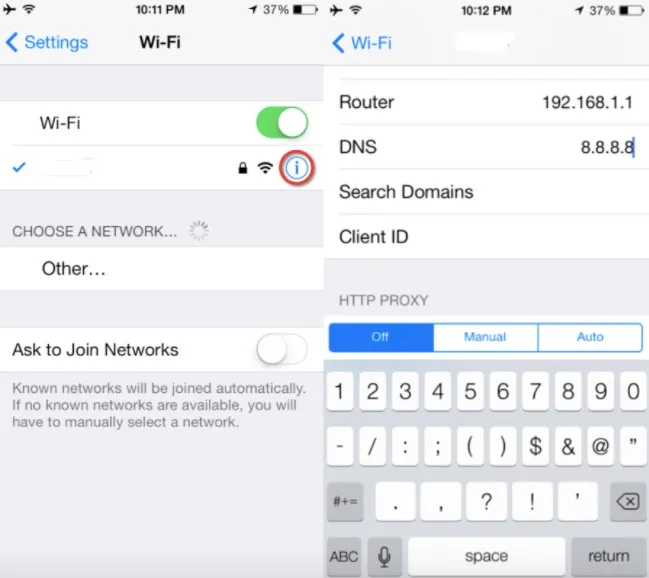 iphone dns settings